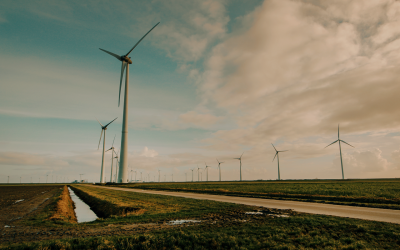 Transición a energías renovables y requerimientos de tierras