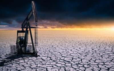 Y ahora ¿qué hacemos?