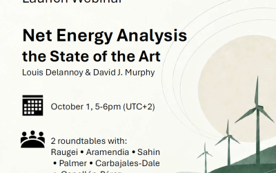 Contribución al libro “Net Energy Analysis: The State of the Art” y webinario de presentación